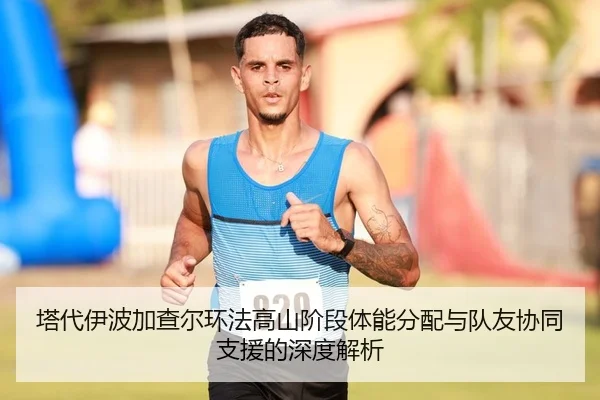 ta-dai-yi-bo-jia-cha-er-huan-fa-gao-shan-jie-duan-ti-neng-fen-pei-yu-dui-you-xie-tong-zhi-yuan-de-shen-du-jie-xi-2-593.jpg